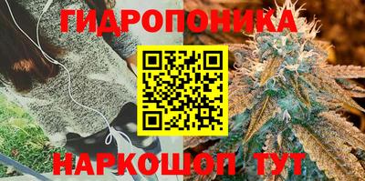 скорость Краснодар