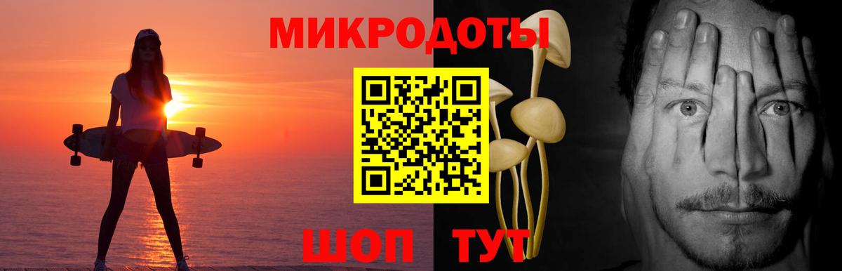 Егорьевск  Псилоцибиновые грибы прущие грибы  Псилоцибиновые грибы Psilocybe  Вход с VPN 
